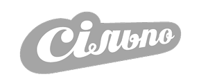 Partner 3